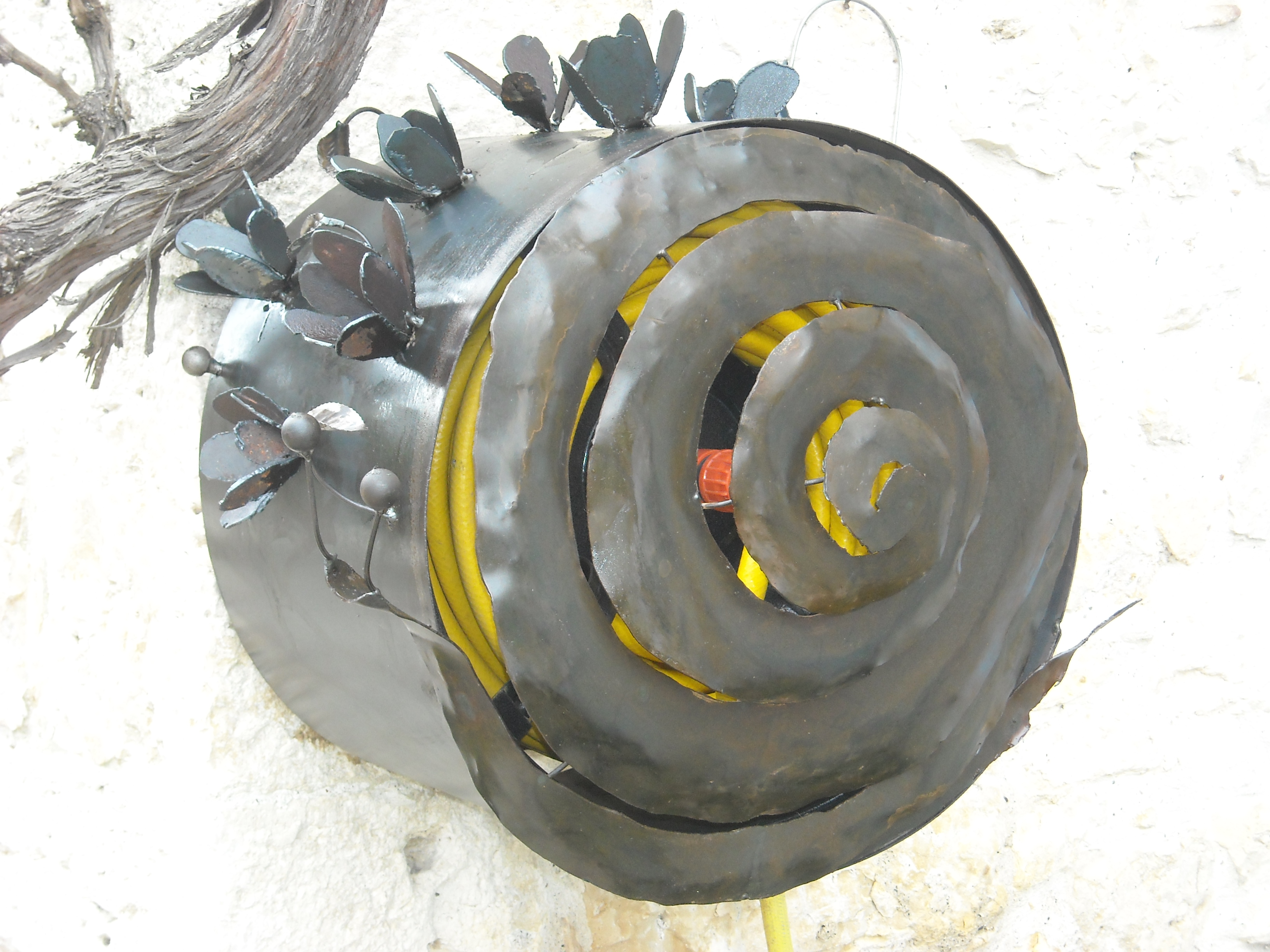 DSCN4965